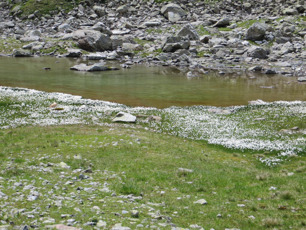 Jennys Huamatl Hotel Serfaus Buitenkant foto